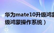 华为mate10升级鸿蒙步骤（华为手机怎么升级鸿蒙操作系统）