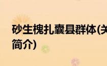 砂生槐扎囊县群体(关于砂生槐扎囊县群体的简介)