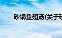 砂锅鱼翅汤(关于砂锅鱼翅汤的简介)