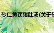 砂仁黄芪猪肚汤(关于砂仁黄芪猪肚汤的简介)
