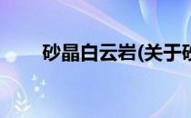 砂晶白云岩(关于砂晶白云岩的简介)