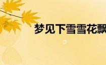 梦见下雪雪花飘飘（梦见下雪）