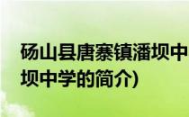 砀山县唐寨镇潘坝中学(关于砀山县唐寨镇潘坝中学的简介)