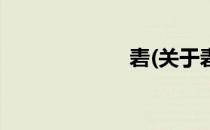 砉(关于砉的简介)