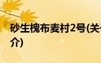 砂生槐布麦村2号(关于砂生槐布麦村2号的简介)