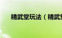 精武堂玩法（精武堂怎样在电脑上玩）