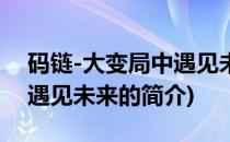 码链-大变局中遇见未来(关于码链-大变局中遇见未来的简介)