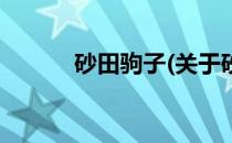 砂田驹子(关于砂田驹子的简介)