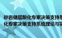 砂岩储层酸化专家决策支持系统理论与实践(关于砂岩储层酸化专家决策支持系统理论与实践的简介)
