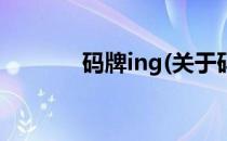 码牌ing(关于码牌ing的简介)