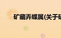 矿藏弄蝶属(关于矿藏弄蝶属的简介)