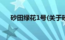 砂田绿花1号(关于砂田绿花1号的简介)
