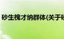 砂生槐才纳群体(关于砂生槐才纳群体的简介)