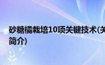 砂糖橘栽培10项关键技术(关于砂糖橘栽培10项关键技术的简介)
