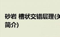 砂岩 槽状交错层理(关于砂岩 槽状交错层理的简介)