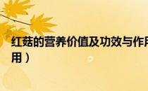红菇的营养价值及功效与作用（红菇的营养价值及功效与作用）