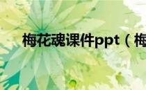 梅花魂课件ppt（梅花魂课件ppt课件）