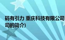 码有引力 重庆科技有限公司(关于码有引力 重庆科技有限公司的简介)