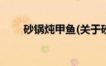 砂锅炖甲鱼(关于砂锅炖甲鱼的简介)