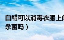 白醋可以消毒衣服上的酒味吗（白醋可以消毒杀菌吗）