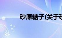 砂原糖子(关于砂原糖子的简介)