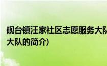 砚台镇汪家社区志愿服务大队(关于砚台镇汪家社区志愿服务大队的简介)