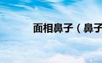 面相鼻子（鼻子的风水和财运）