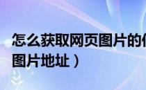 怎么获取网页图片的位置（如何获取网页上的图片地址）