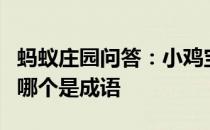 蚂蚁庄园问答：小鸡宝宝考考你：下列两个词哪个是成语