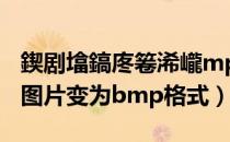 鍥剧墖鎬庝箞浠巄mp鍙樻垚jpg（如何将jpg图片变为bmp格式）