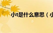 小t是什么意思（小g和小t什么意思）