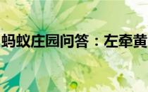 蚂蚁庄园问答：左牵黄右擎苍的苍是什么意思