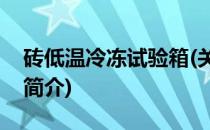 砖低温冷冻试验箱(关于砖低温冷冻试验箱的简介)