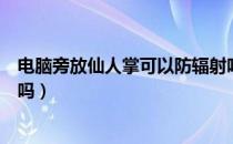 电脑旁放仙人掌可以防辐射吗（电脑旁放仙人掌可以防辐射吗）