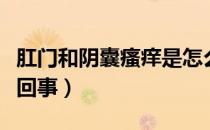 肛门和阴囊瘙痒是怎么回事（阴囊瘙痒是怎么回事）