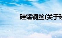 硅锰钢丝(关于硅锰钢丝的简介)