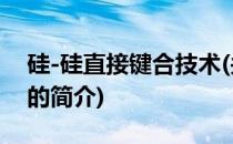 硅-硅直接键合技术(关于硅-硅直接键合技术的简介)