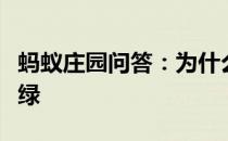 蚂蚁庄园问答：为什么煮出来的绿豆汤有红有绿