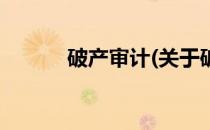 破产审计(关于破产审计的简介)