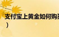 支付宝上黄金如何购买（支付宝如何购买黄金）