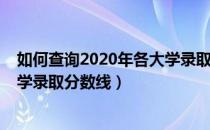 如何查询2020年各大学录取分数线（如何查询2020年各大学录取分数线）