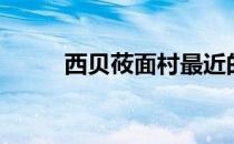西贝莜面村最近的新闻（西贝猫）