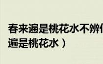 春来遍是桃花水不辨仙源何处寻的意思（春来遍是桃花水）