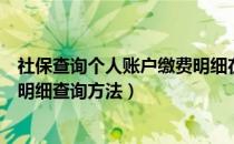 社保查询个人账户缴费明细在哪查（社保查询个人账户缴费明细查询方法）