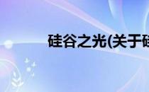 硅谷之光(关于硅谷之光的简介)