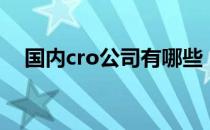 国内cro公司有哪些（国内cro公司排名）