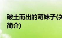 破土而出的萌妹子(关于破土而出的萌妹子的简介)