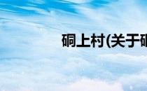 硐上村(关于硐上村的简介)
