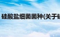 硅酸盐细菌菌种(关于硅酸盐细菌菌种的简介)