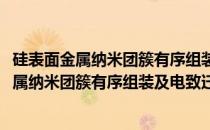 硅表面金属纳米团簇有序组装及电致迁移机制(关于硅表面金属纳米团簇有序组装及电致迁移机制的简介)